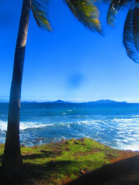 Hinter Den Bäumen Das Blaue Meer Und Eine Insel Der — Stockfoto