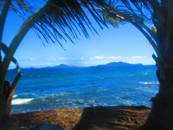 Atrás Palma Mar Azul Uma Ilha Distância — Fotografia de Stock