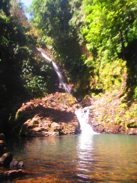 茂密热带森林中的两个瀑布 — 图库照片