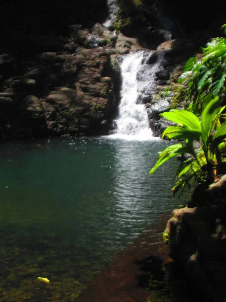 Une Cascade Tropicale Reflète Dans Lac — Photo