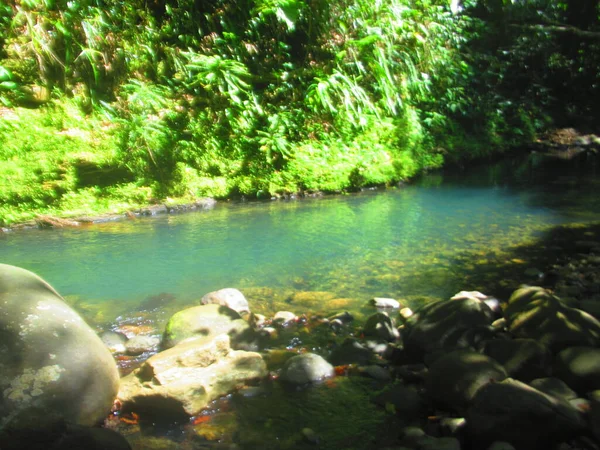 Petit Lac Dans Forêt Tropicale Luxuriante — Photo