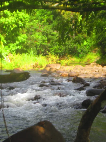 Der Fluss Fließt Zwischen Den Felsen Üppigen Wald — Stockfoto