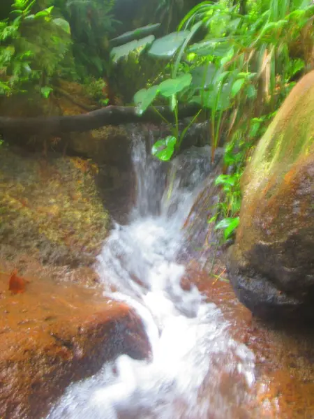 Ein Kleiner Wasserfall Fließt Zwischen Den Felsen — Stockfoto