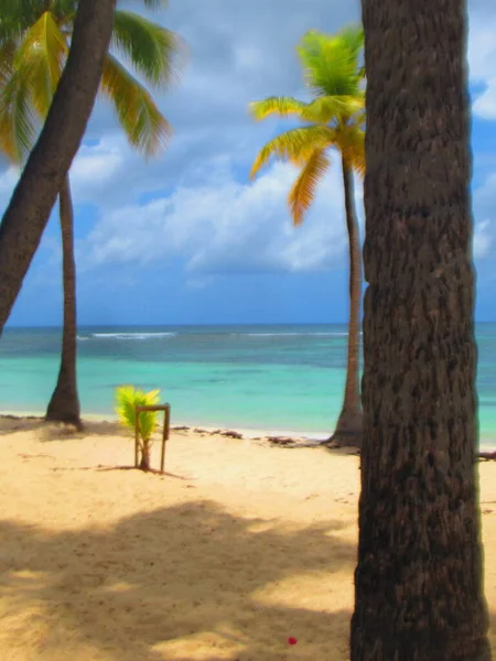 Palmer Den Vita Sandstranden Framför Det Turkosa Havet — Stockfoto