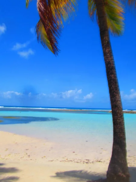 Palmbomen Het Witte Zandstrand Voor Turquoise Zee — Stockfoto