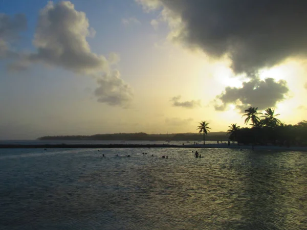 Die Sonne Geht Über Dem Meer Hinter Den Palmen Unter — Stockfoto