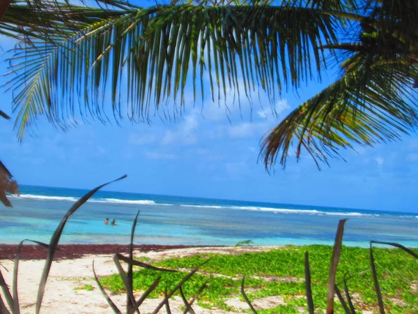 Palm Trees White Sand Beach Front Heavenly Turquoise Sea — Stock Photo, Image