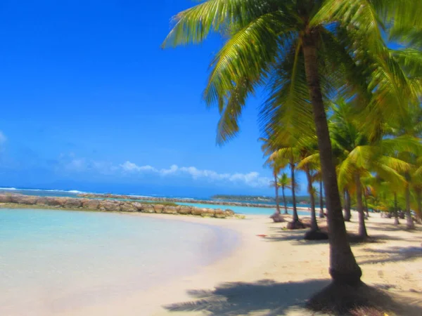 Palmen Weißen Sandstrand Vor Dem Himmeltürkisfarbenen Meer — Stockfoto