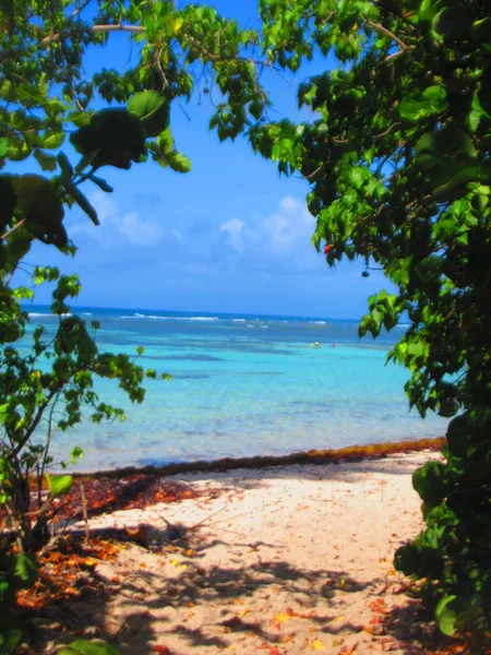 Achter Boom Het Witte Zand Paradijselijke Turquoise Zee — Stockfoto