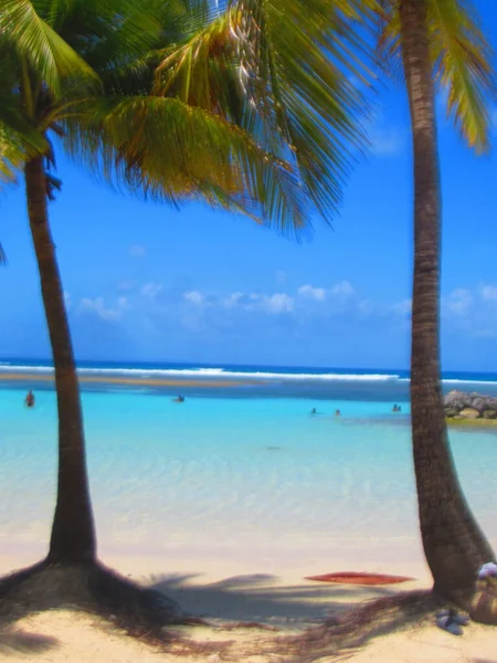 야자나무 뒤에는 모래가 원추형 청록색 바다가 — 스톡 사진