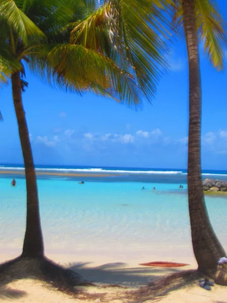 Hinter Der Palme Dem Weißen Sand Und Dem Paradiesischen Türkisfarbenen — Stockfoto