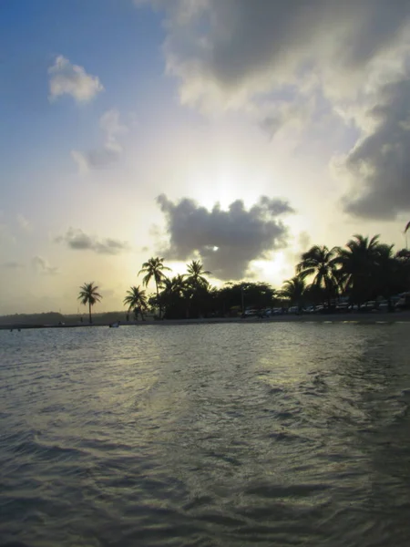 Zon Gaat Onder Boven Zee Achter Palmbomen — Stockfoto