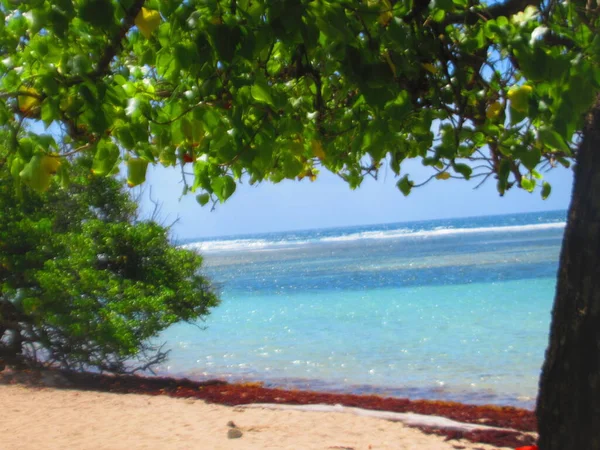 Praia Areia Branca Frente Mar Azul Turquesa Paradisíaco — Fotografia de Stock
