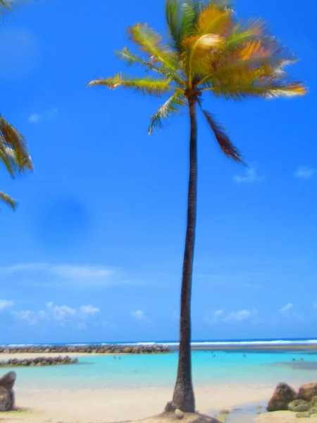 Een Palmboom Het Witte Zandstrand Voor Hemelse Turquoise Zee — Stockfoto