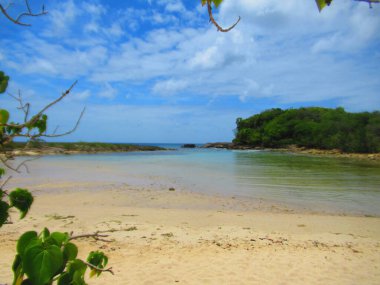 Denizin önündeki beyaz kumsal koyda ormanla çevrili.