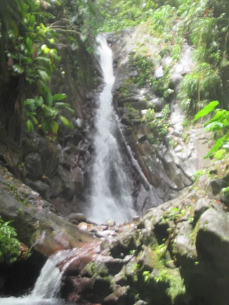 Een Grote Waterval Weelderige Tropische Vegetatie — Stockfoto