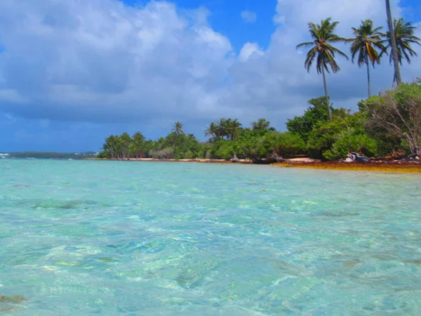 the turquoise sea in front of the trees