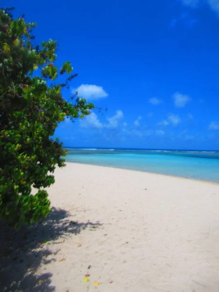 Der Weiße Sandstrand Und Das Türkisfarbene Meer Unter Blauem Himmel — Stockfoto