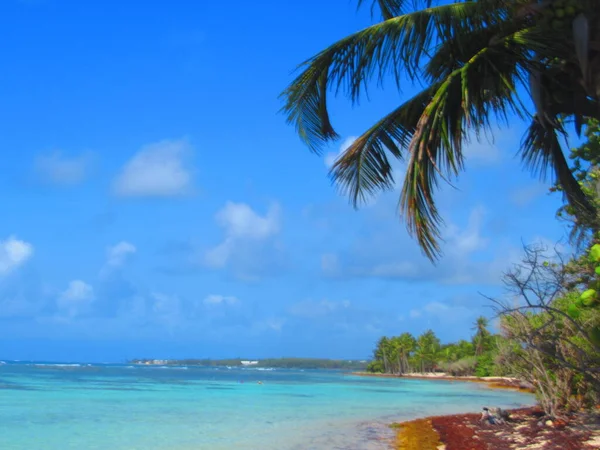 White Sand Beach Turquoise Sea Blue Sky — Stock Photo, Image