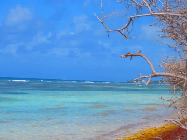 Het Witte Zandstrand Turquoise Zee Onder Blauwe Lucht — Stockfoto