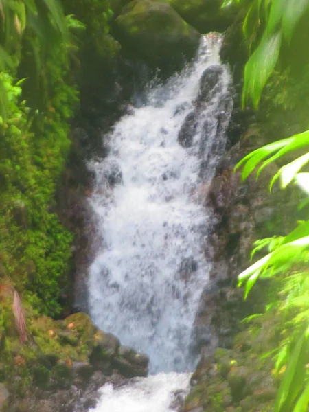 Uma Pequena Cachoeira Exuberante Floresta Tropical — Fotografia de Stock