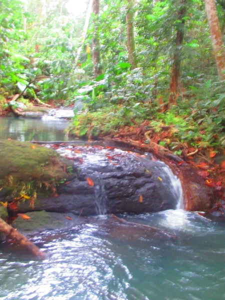 Een Kleine Waterval Het Weelderige Tropische Bos — Stockfoto