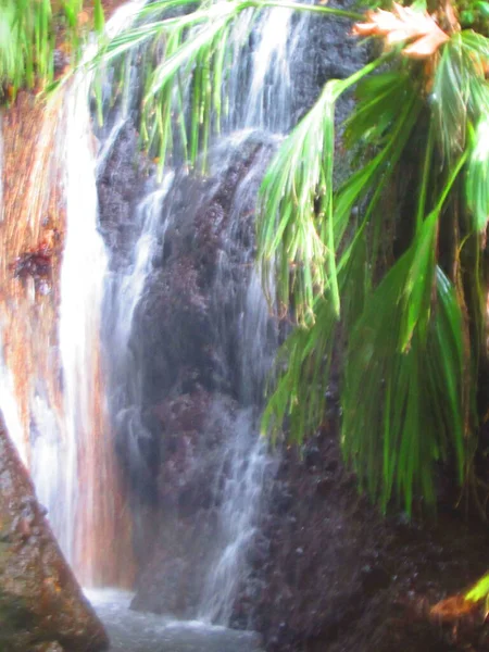 Sebuah Air Terjun Kecil Vegetasi — Stok Foto