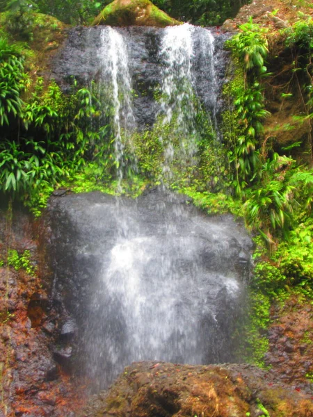 Üppigen Tropischen Wald Prallt Ein Wasserfall Von Einem Felsen — Stockfoto