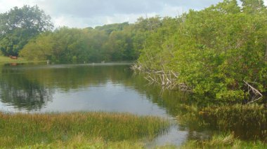 Ormanla çevrili küçük bir göl.