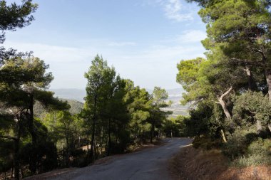 Sonbahar ormanı bulutlu bir gökyüzü ile tepeye çıkan bir yol ile kesişir.