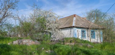 Terk edilmiş kır evi, mavi gökyüzü ve bulutlar, kiraz çiçekleri..