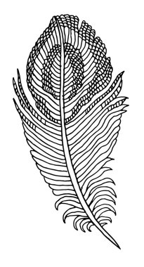 elle çizilmiş tüy