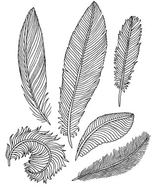 El yapımı tüyler.