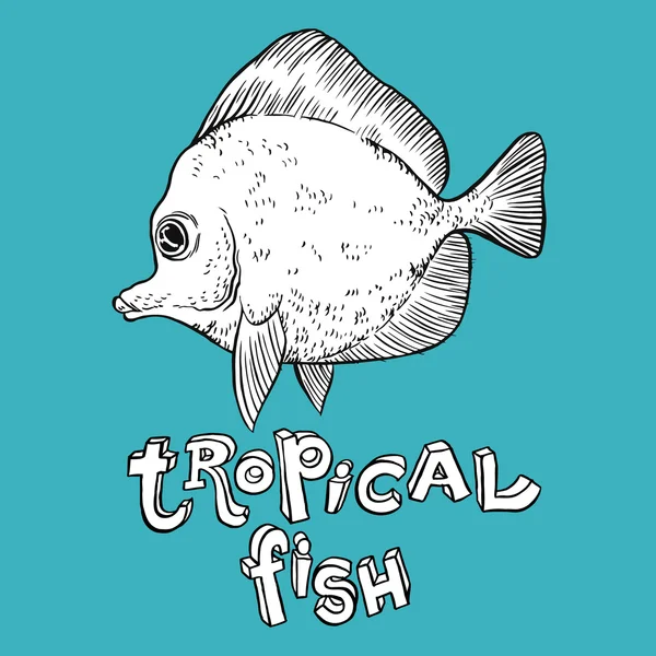 Hand drawn Tropical Fish — Stock Vector