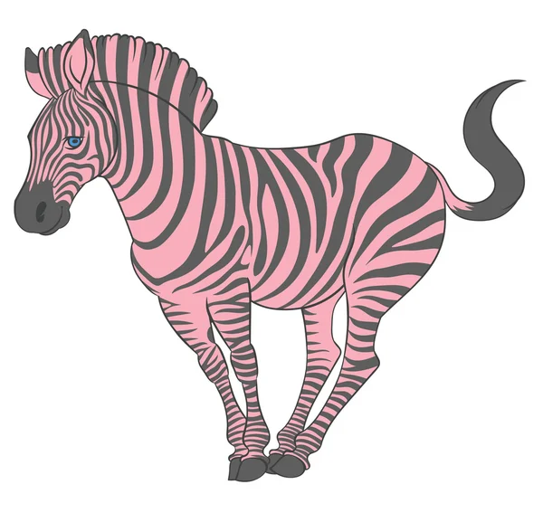 Zebra bonito em pose engraçada — Vetor de Stock