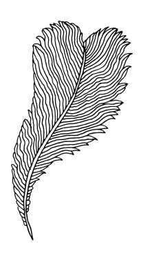 elle çizilmiş tüy