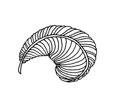 elle çizilmiş tüy