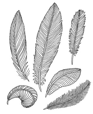 Elle çizilmiş tüyler seti