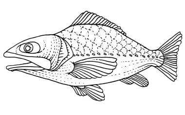 Tasarım tropikal balık