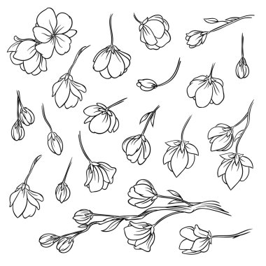 kiraz çiçekleri seti