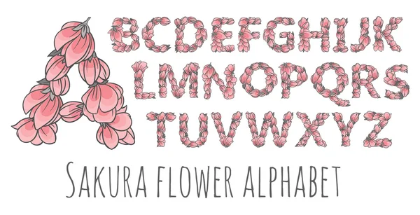 Sakura flowers alphabet — Stock Vector