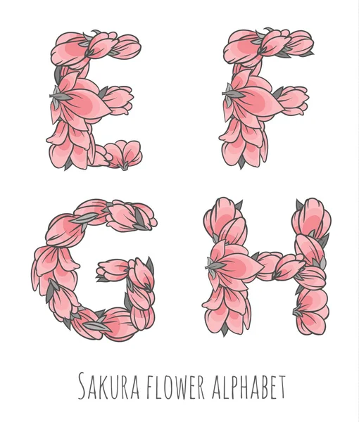 Sakura çiçek alfabesi — Stok Vektör