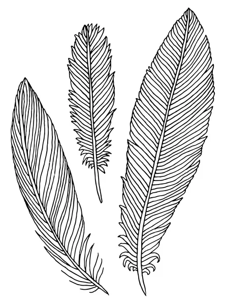 Hand drawn feathers set — Stock Vector
