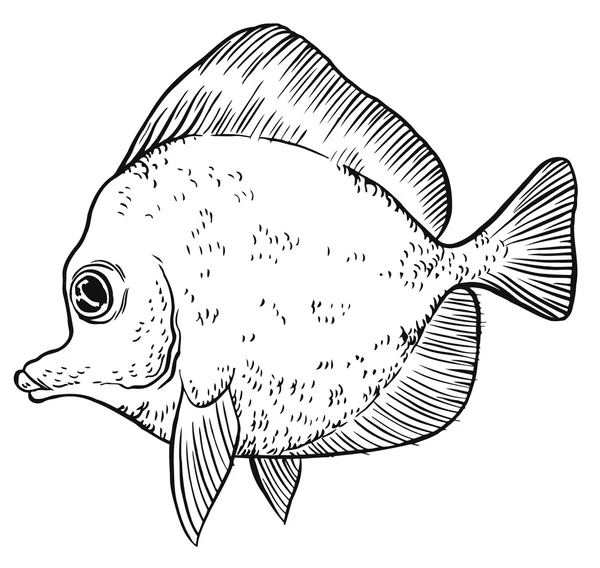 Handgezeichnete lustige Fische — Stockvektor