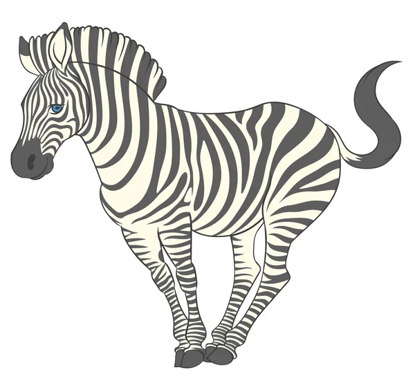 Cute zebra in funny pose — Stock Vector