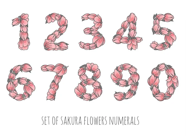 Set di numeri di fiori di sakura — Vettoriale Stock