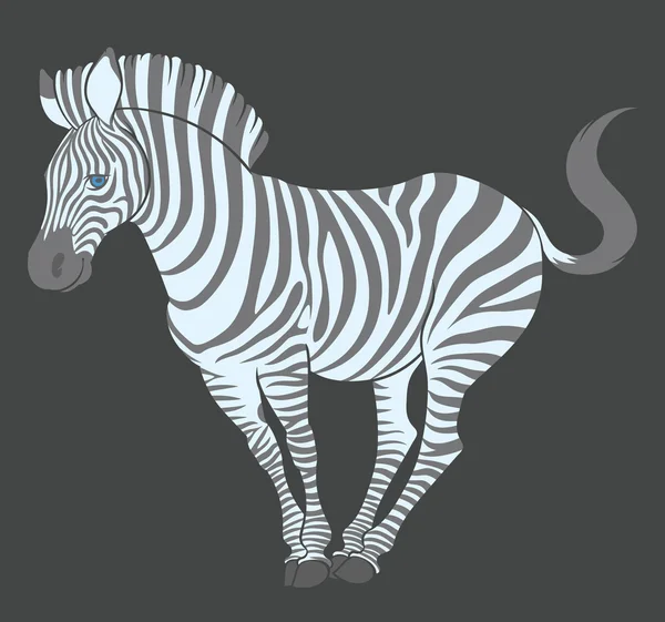 Lucu zebra dalam pose lucu - Stok Vektor