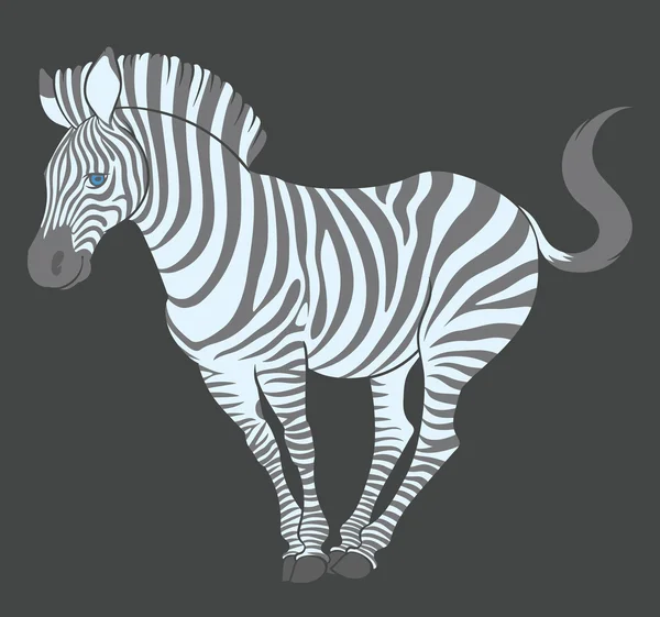 Ładny zebra w śmieszne pozy — Wektor stockowy