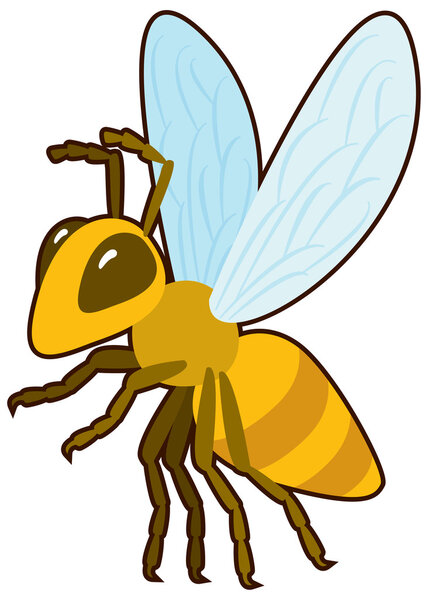 Cartoon vector Honey Bee