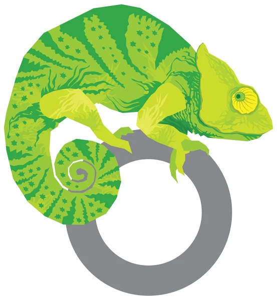 Chameleon vektor berwarna - Stok Vektor